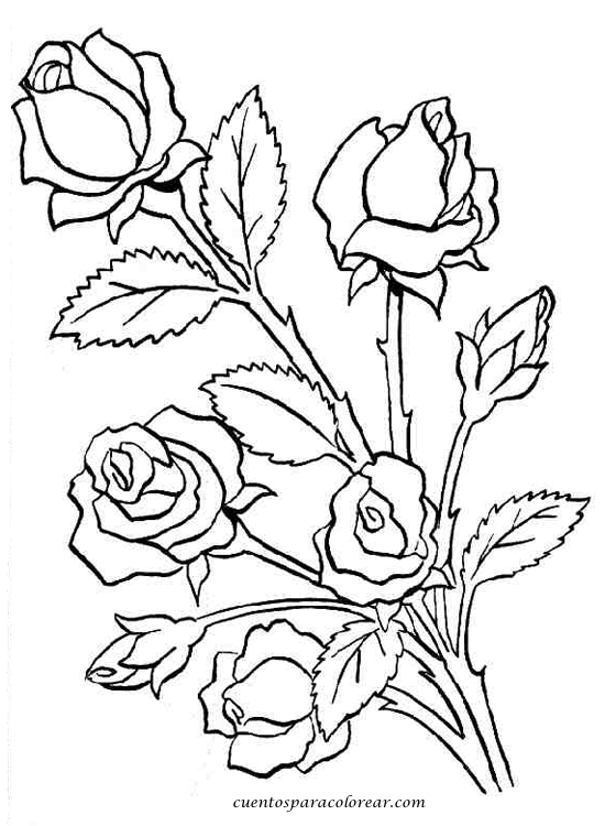Dibujos para colorear flores